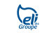 ELIDIS