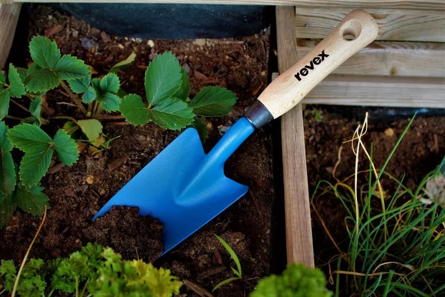 Plantoir à Main Traditionnel Acier Inoxydable Manche Bois Ergonomique 27,5 Cm – Jardinage Précis