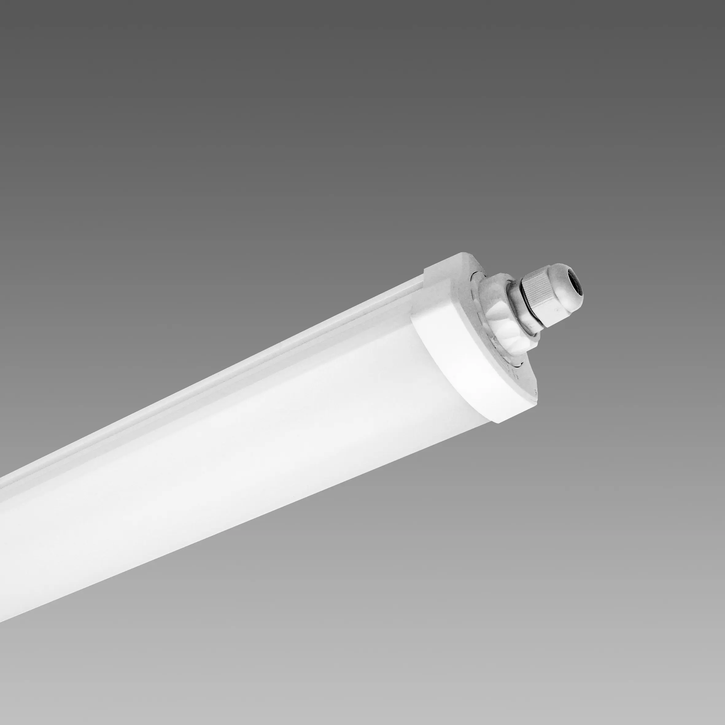 LUMINAIRE ETANCHE 120CM 4000K 4320LM TRAVERSANT