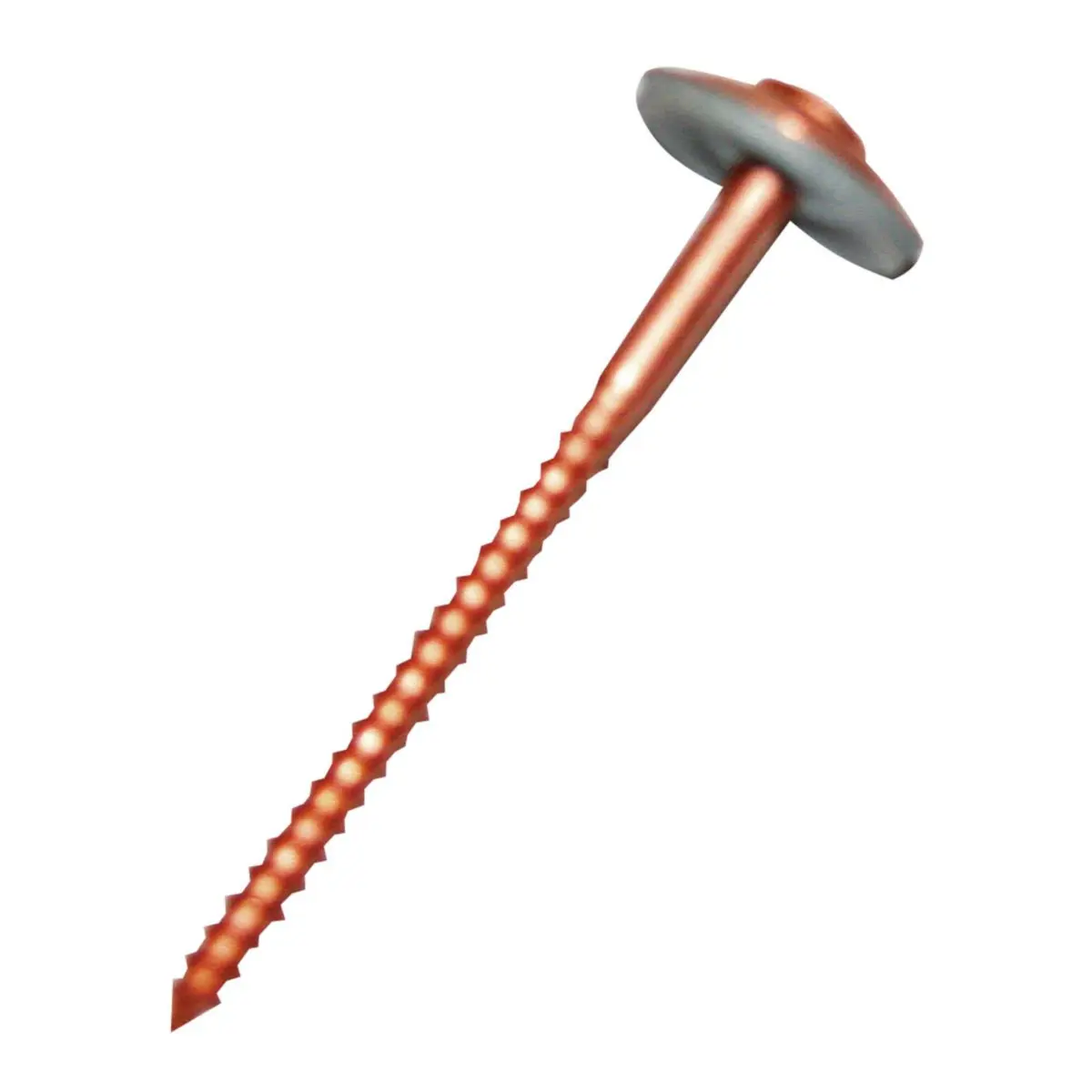 Boîte 50 vis parapluie inox 18/10 cuivre 65x4,5 torx - DIMOS - 774632