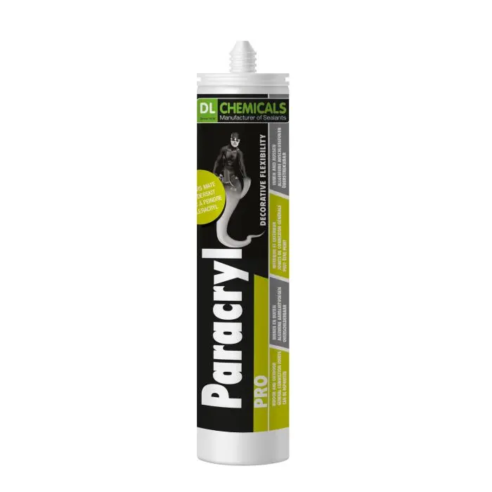 Paracryl Pro - DL CHEMICALS - gris 300ml - 100596