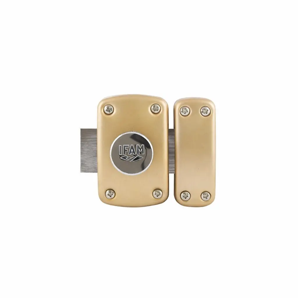 Verrou B6 bouton / cylindre 50mm varié - 5 clés réversible - cylindre D23mm - IFAM - 28500