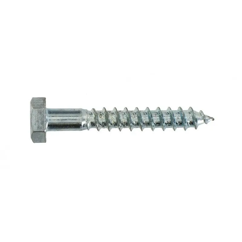 Sachet de tirefond acier zingué - VYNEX - 310178019