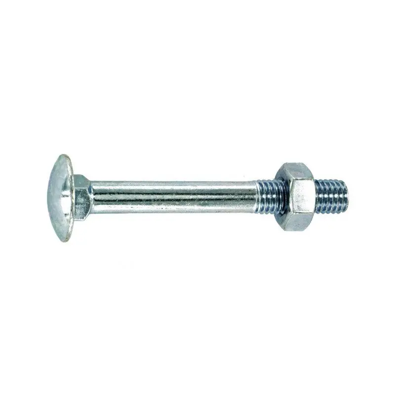 Sachet boulon TRCC acier zingué - VYNEX - 310178027370