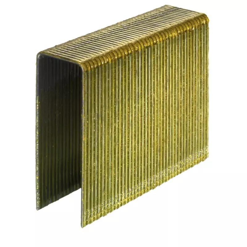 Agrafes BS 100 mm Galva - Boite de 1000 - ARCA - SABS100G Agrafes BS 100 mm Galva - Boite de 1000 - ARCA - SABS100G