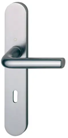 Ensemble sur plaque fondue Arles WC argent F1 197L/300M HOPPE - 596201