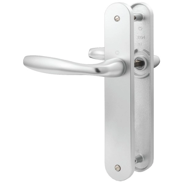 Ensemble de porte sur plaque New york - entr.165mm - Bec de cane - argent F1 -1810/318KN - 3282411 