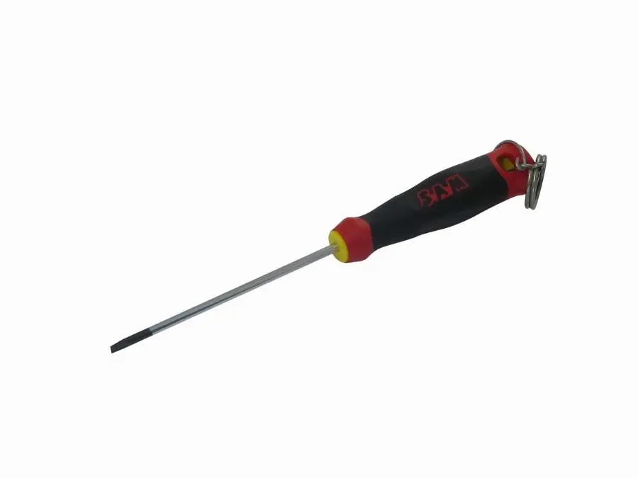 Tournevis SAM Bi matière S1 - Avec clips montés