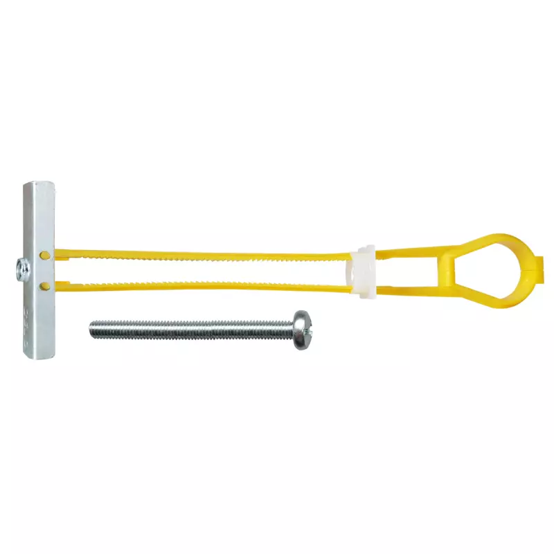 Cheville à bascule universelle BT Plus M6 avec vis PZ2 tête cylindrique - Ø 13 mm - Boite de 30 - CELO - 9Y6BTPLO