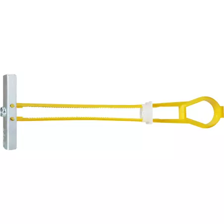 Cheville à bascule rapide pour corps creux BT Plus M6 zinguée - Ø 13 mm - Boite de 30 - CELO - 9Y6BTP