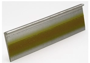Boîte 1000 Clous pour cloueur à parquet RW 50mm AERFAST      