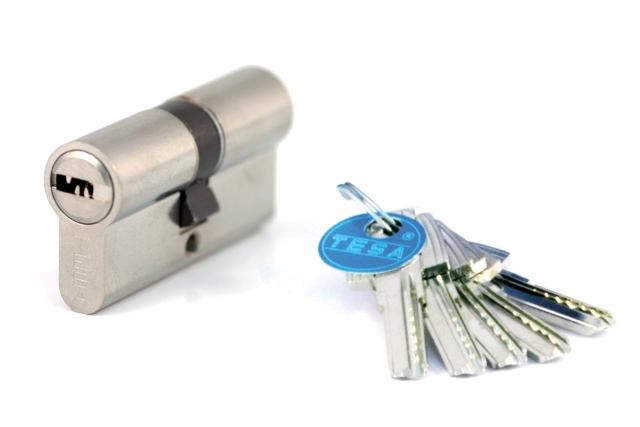 Cylindre de sûreté TESA T60 débrayable - Nickelé - 30 x 30 - MV 3 - 3 clés - T65D3030NKA