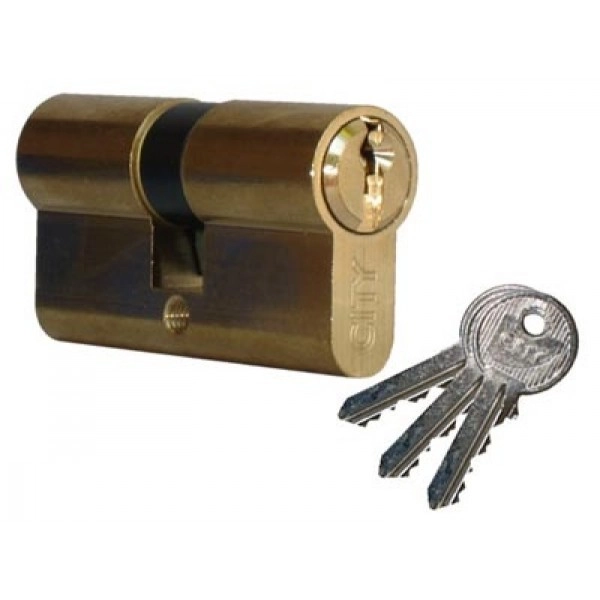520930407 Cylindre double City varié - 30 x 40 - Laiton poli 