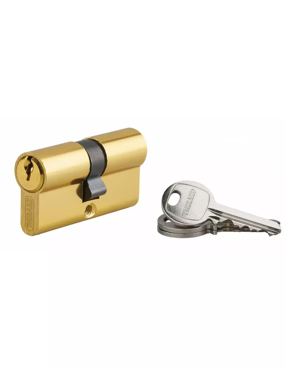 Cylindre de serrure à clé crantée Ecopro laiton - 30 x 30 - Varié - THIRARD - 00007259
