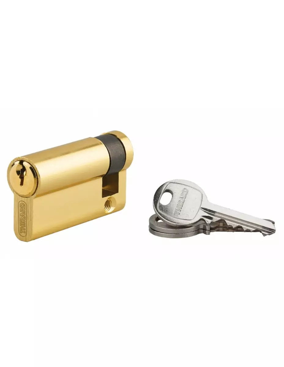Cylindre de serrure à clé crantée Ecopro laiton - Demi-cylindre - 50 x 10 - Varié - THIRARD - 00007951