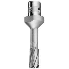 Fraise à pastille carbure FEIN - emmanchement Quickin - Ø12 mm - 63127086019 Fraise à pastille carbure FEIN - emmanchement Quickin - Ø12 mm - 63127086019