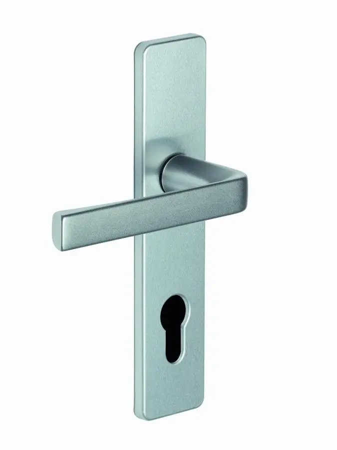 Ensemble KAZA - Plaque 190 x 42 mm - Entraxe de fixation 165 mm - Argent - 1364/6329 Clé I