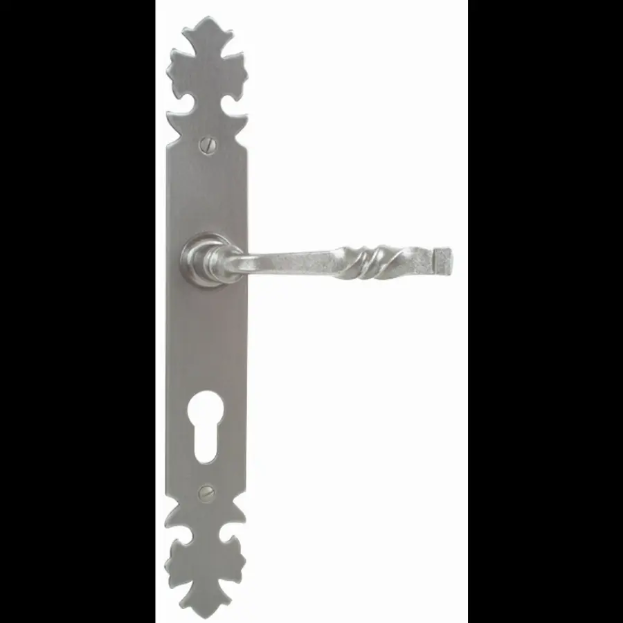 Ensemble de porte Bourgogne BOUVET Patiné - Clé L - 5643