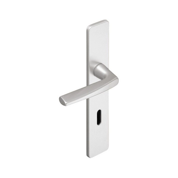 Ensemble de porte Riviera BEZAULT Entraxe 195 mm Argent - Clé L - 0072744 