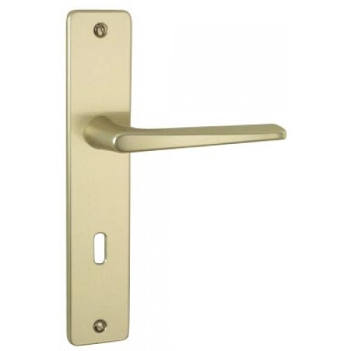 Ensemble de porte Riviera 90 BEZAULT Entraxe 195 mm Champagne - Clé L - 0072836 Ensemble de porte Riviera 90 BEZAULT Entraxe 195 mm Champagne - Clé L - 0072836