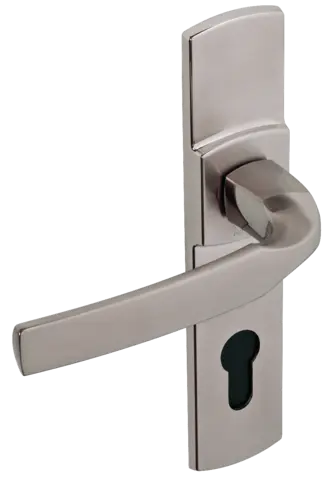 Ensemble de porte sur plaque Artis BEZAULT Entraxe 195mm - Inox brossé - Clé i - 864707