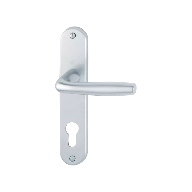 Ensemble poignée Roissy avec percement clé I (PZ) pour porte intérieure - F1 aluminium aspect argent - HOPPE - 1957154 Ensemble poignée Roissy avec percement clé I (PZ) pour porte intérieure - F1 aluminium aspect argent - HOPPE - 1957154