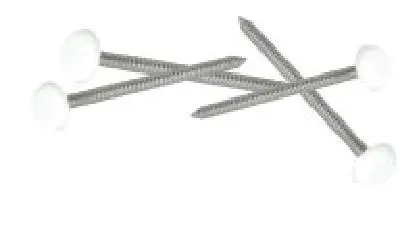 Clou inox NICOLL embout Belriv blanc - L.40 mm - 100 pièces - CI40B