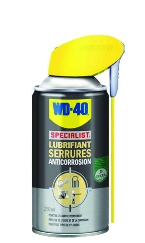 Lubrifiant serrures 250 ml système professionnel WD40 - Lot de 12 - 33303