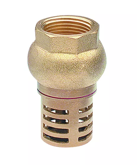 Crépine à clapet femelle F1' (26x34) NOYON & THIEBAULT - 1320-26L1