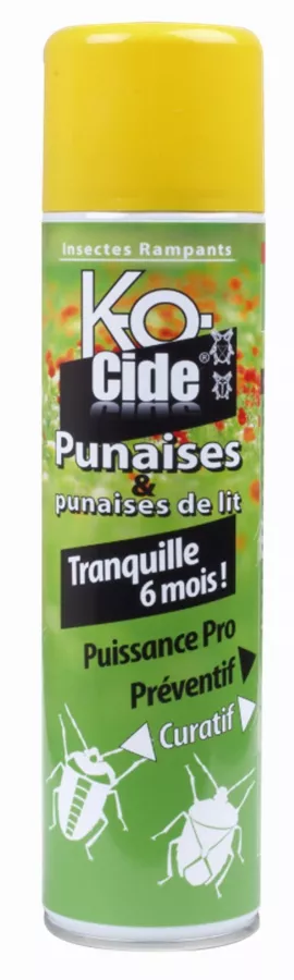 Insecticide Laque anti-punaises KOCIDE 405 ml - KU Insecticide Laque anti-punaises KOCIDE 405 ml - KU