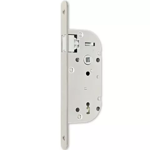Serrure monopoint à larder axe à 50 mm NF inox même variure - sans gache réversible - Euro-elzett kft - g840e2d7k4 roz Serrure monopoint à larder axe à 50 mm NF inox même variure - sans gache réversible - Euro-elzett kft - g840e2d7k4 roz