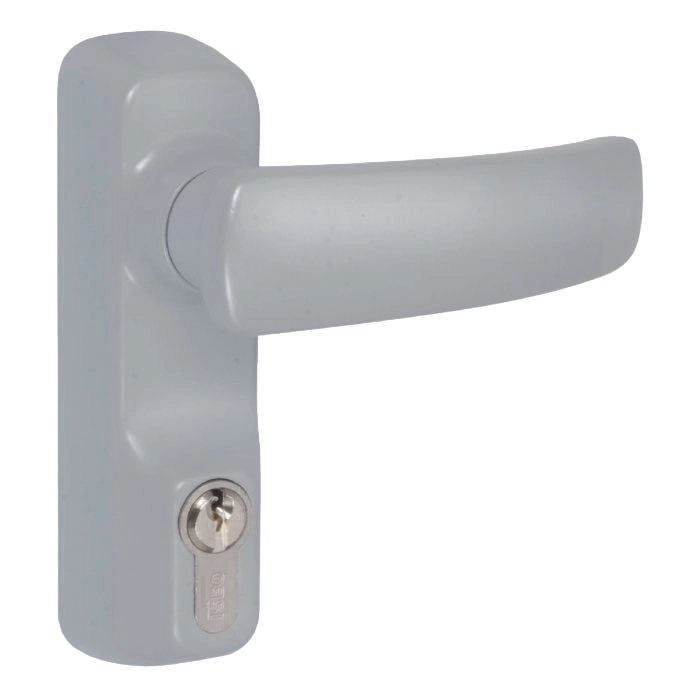 Ensemble béquille cylindre grand modèle ISEO anti-vandalisme - Gris - 94011003T Ensemble béquille cylindre grand modèle ISEO anti-vandalisme - Gris - 94011003T