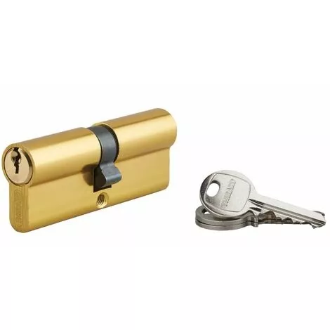 Cylindre profilé ECOPRO laitonné THIRARD 40x40 Vis de 40 mm - 00007191 Cylindre profilé ECOPRO laitonné THIRARD 40x40 Vis de 40 mm - 00007191
