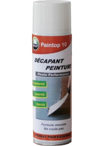 Paintop décapant peinture haute performance bombe aérosol 500ml DALEP - 710001               