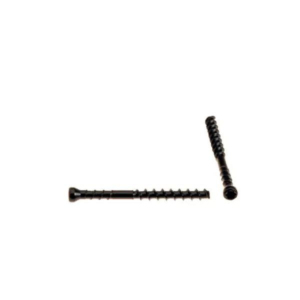 SPAX Lot De 60 Vis En Acier Inoxydable, Empreinte Torx, 5X50 Mm SPAX Lot De 60 Vis En Acier Inoxydable, Empreinte Torx, 5X50 Mm